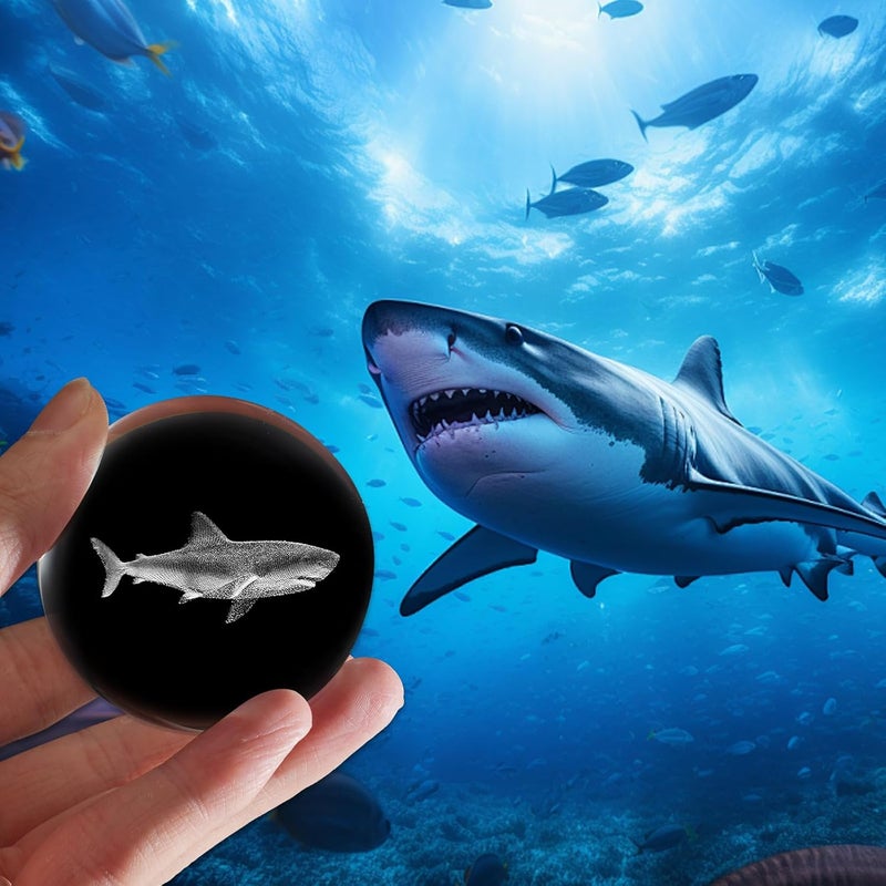 PYJ3DLAMP 3D Shark Crystal Ball with Stand Lase Engraved Glass Sphere Paperweight Shark Decor Gift - Image 5